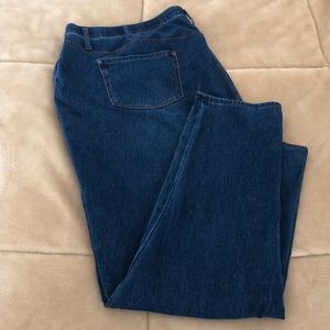 Terra & Sky Denim Jegging